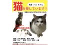 10/7_No.181 雑種(那覇市)