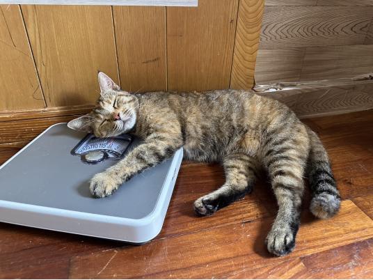 枚目写真