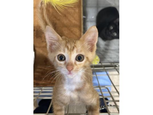 推進棟　アーリオ