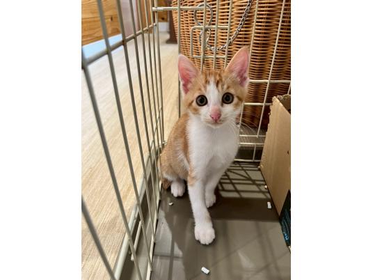 推進棟　ロン　※環境調査中