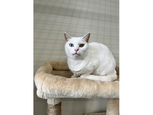 推進棟　いくら