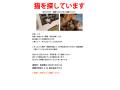 4/27＿No29　雑種（那覇市)