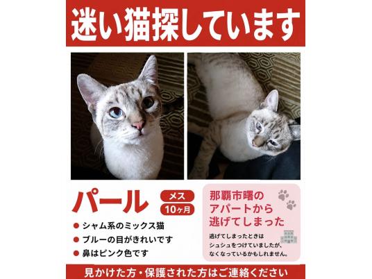 枚目写真