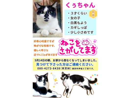 枚目写真