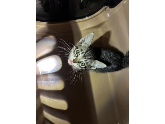 枚目写真