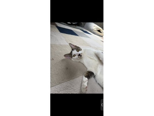 枚目写真