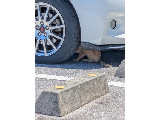 枚目写真