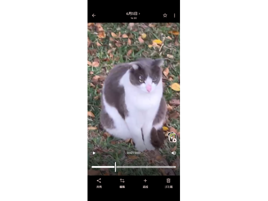 枚目写真