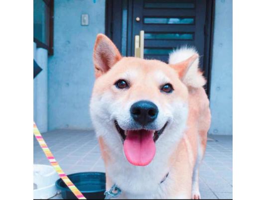 枚目写真