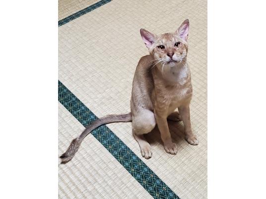 枚目写真