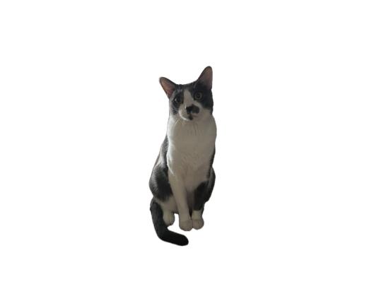枚目写真