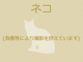 8/3　雑種(北谷町)　M-1