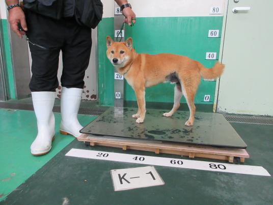 枚目写真