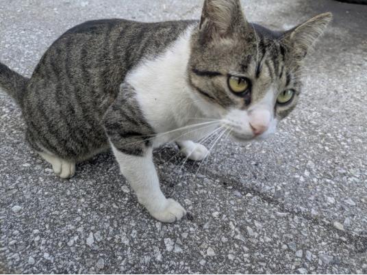 枚目写真