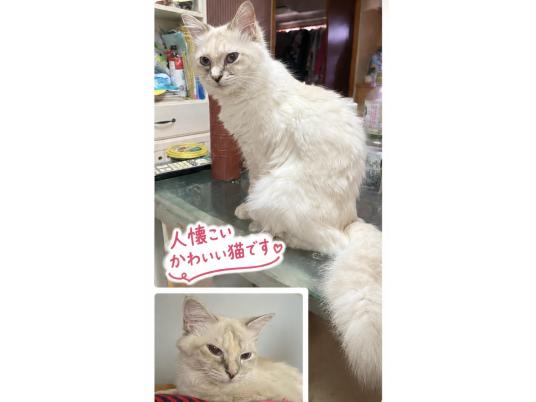 枚目写真