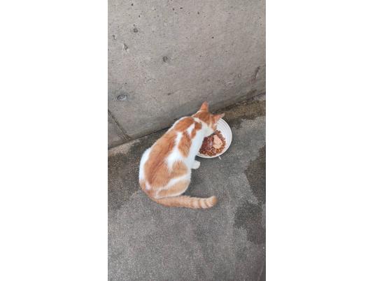 枚目写真