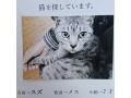 10/8＿No.170　雑種(糸満市)