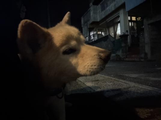 枚目写真
