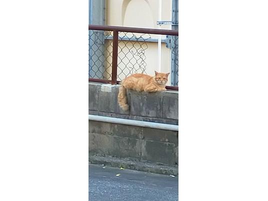 枚目写真