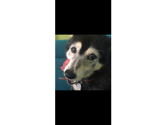 枚目写真