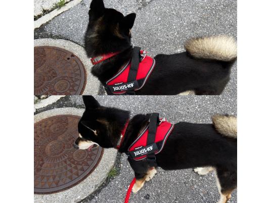 2枚目写真
