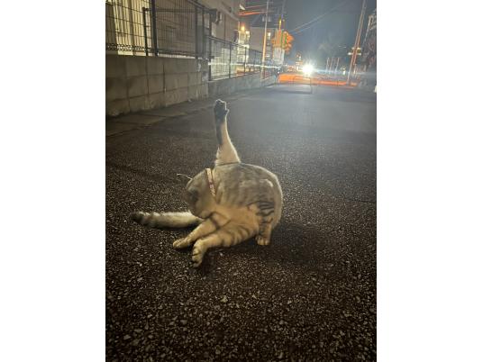 2枚目写真