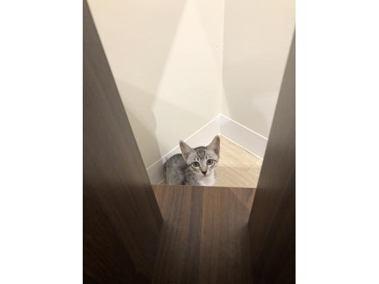 2枚目写真