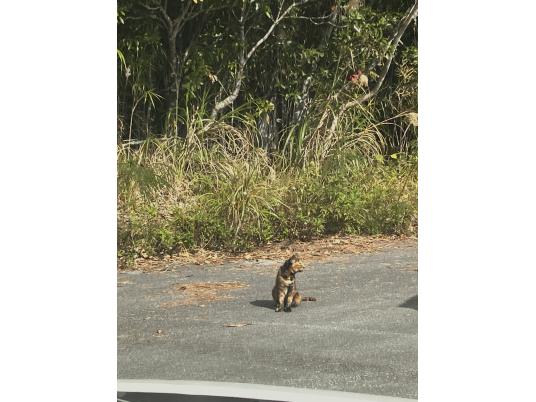 2枚目写真