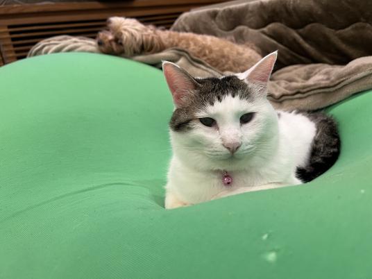 2枚目写真