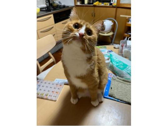 2枚目写真