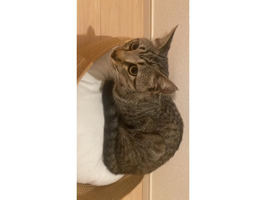 2枚目写真