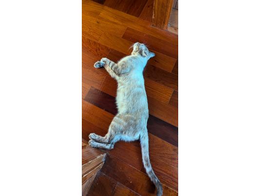 2枚目写真