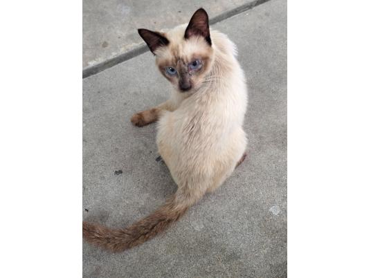 2枚目写真