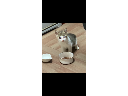 2枚目写真