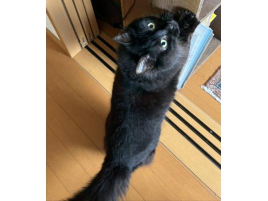 2枚目写真