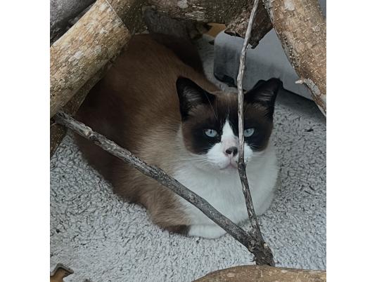 2枚目写真