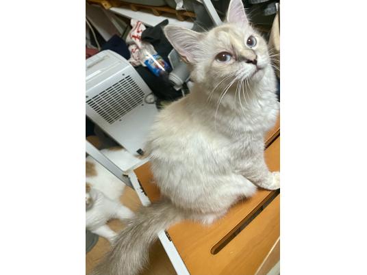2枚目写真