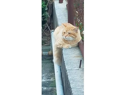 2枚目写真