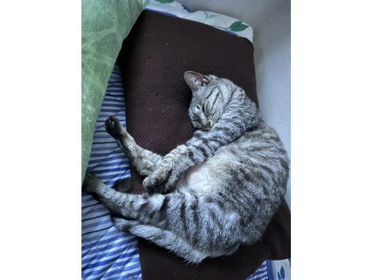2枚目写真