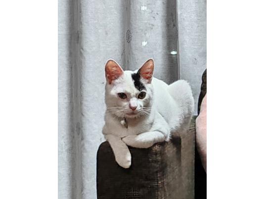 3枚目写真