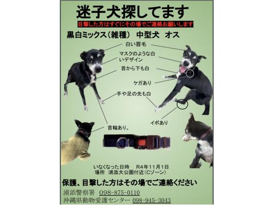 3枚目写真