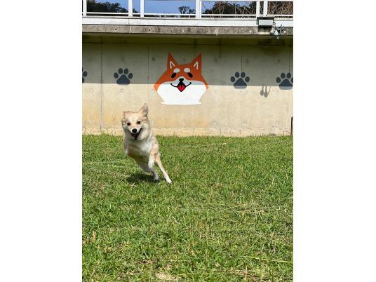 3枚目写真