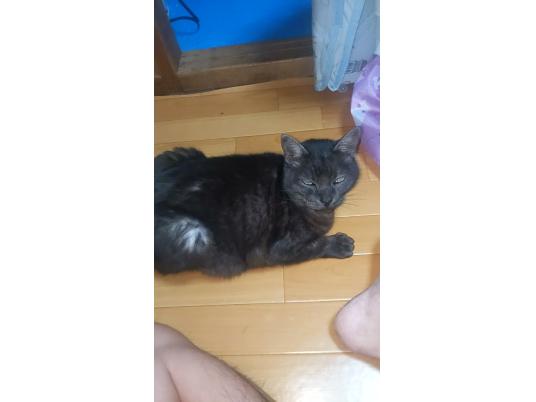 3枚目写真
