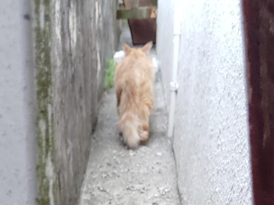 3枚目写真