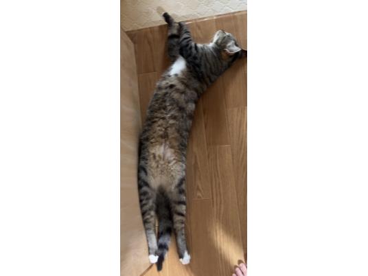 3枚目写真