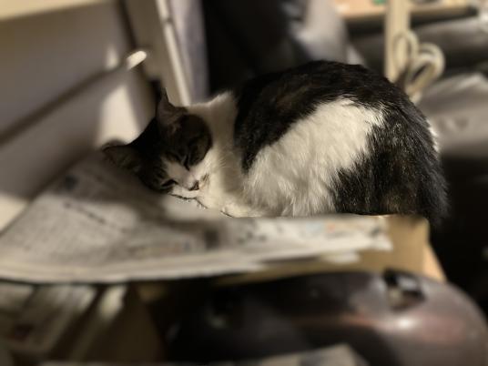 3枚目写真