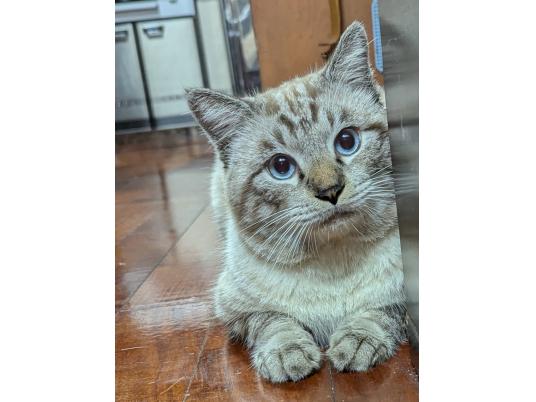 3枚目写真