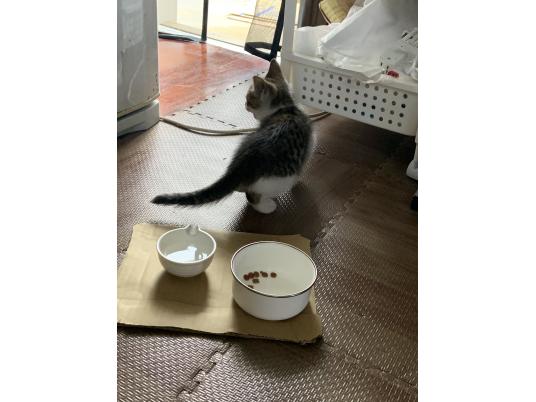 3枚目写真