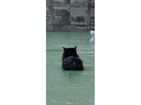 3枚目写真