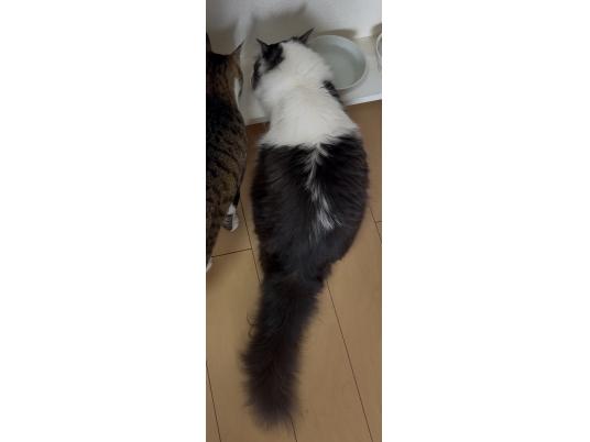 3枚目写真